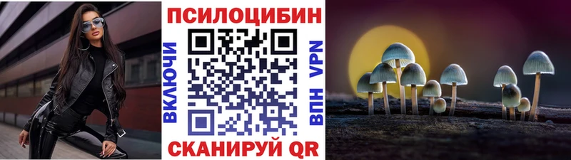 магазин продажи Иноземцево Псилоцибиновые грибы Cubensis